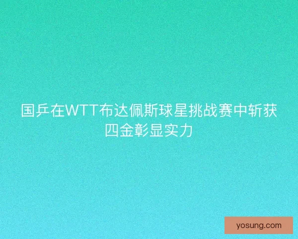 国乒在WTT布达佩斯球星挑战赛中斩获四金彰显实力
